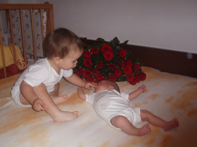 Kopie - PA022902.JPG