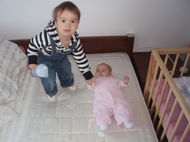 Kopie - P1223779.JPG