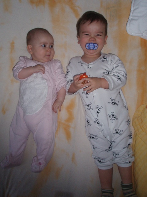 Kopie - P3114167.JPG