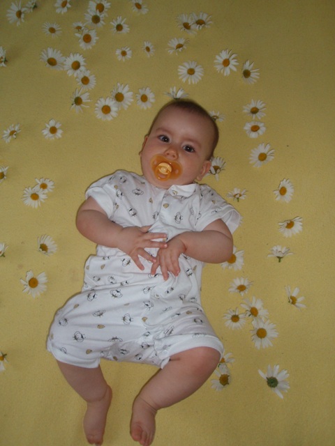 Kopie - P5274642.JPG