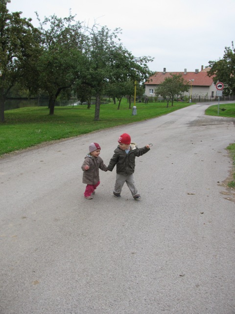 Kopie - Snímek 188