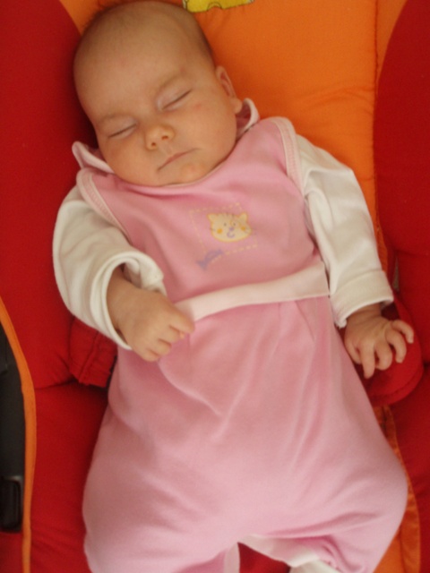 Kopie - PA243073.JPG