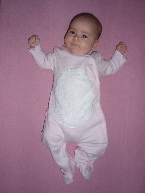 Kopie - PC103391.JPG