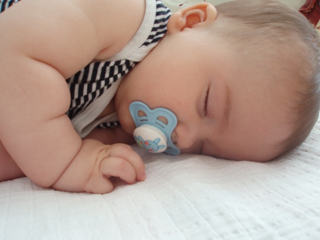 Kopie - P8241065.JPG